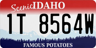 ID license plate 1T8564W