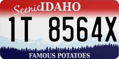 ID license plate 1T8564X