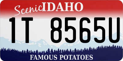 ID license plate 1T8565U
