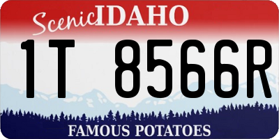 ID license plate 1T8566R