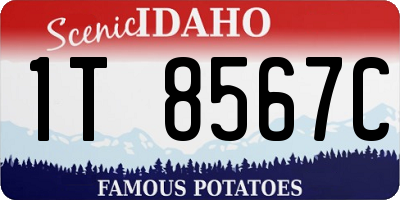 ID license plate 1T8567C