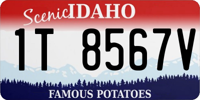 ID license plate 1T8567V
