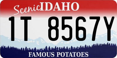 ID license plate 1T8567Y