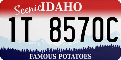 ID license plate 1T8570C