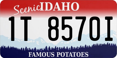 ID license plate 1T8570I