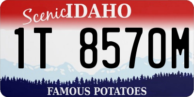 ID license plate 1T8570M