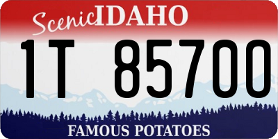 ID license plate 1T8570O