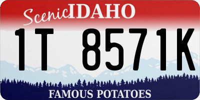 ID license plate 1T8571K