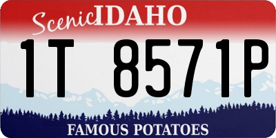 ID license plate 1T8571P