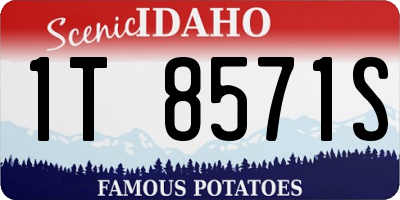 ID license plate 1T8571S