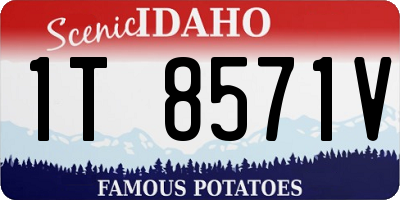 ID license plate 1T8571V