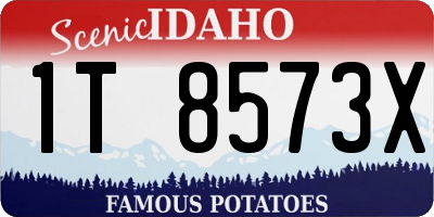 ID license plate 1T8573X