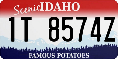 ID license plate 1T8574Z