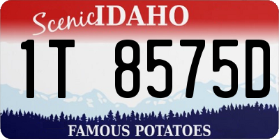 ID license plate 1T8575D
