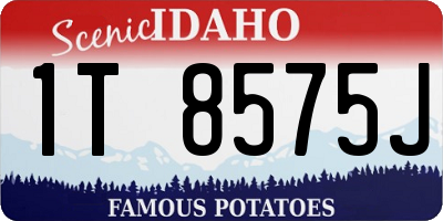 ID license plate 1T8575J