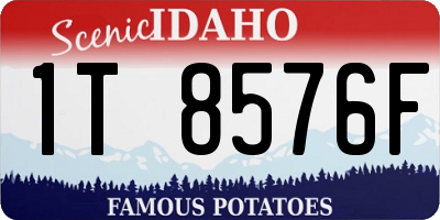 ID license plate 1T8576F