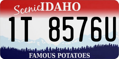 ID license plate 1T8576U
