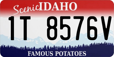 ID license plate 1T8576V