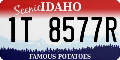 ID license plate 1T8577R