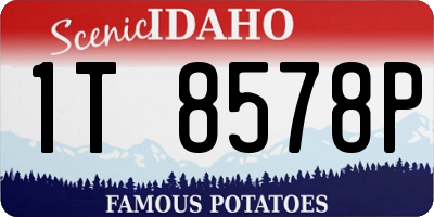 ID license plate 1T8578P