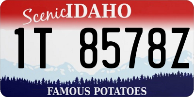 ID license plate 1T8578Z