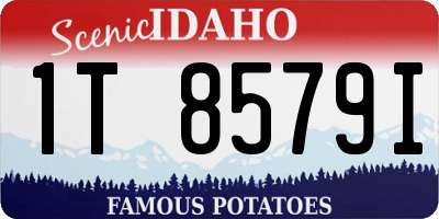 ID license plate 1T8579I