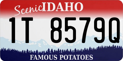ID license plate 1T8579Q
