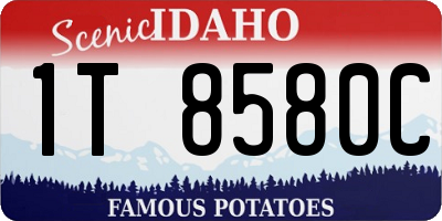 ID license plate 1T8580C
