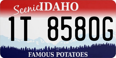 ID license plate 1T8580G