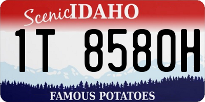 ID license plate 1T8580H