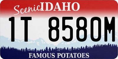 ID license plate 1T8580M