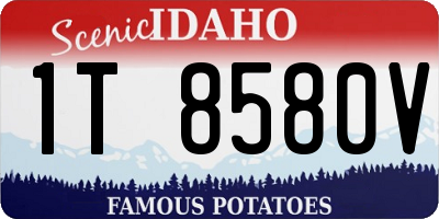 ID license plate 1T8580V