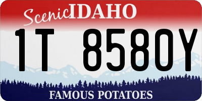 ID license plate 1T8580Y
