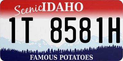 ID license plate 1T8581H