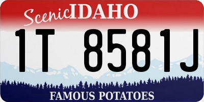 ID license plate 1T8581J