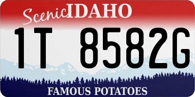 ID license plate 1T8582G