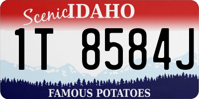ID license plate 1T8584J
