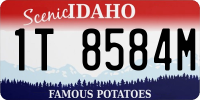 ID license plate 1T8584M
