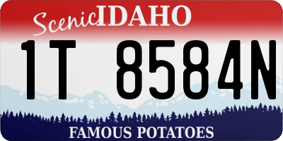 ID license plate 1T8584N