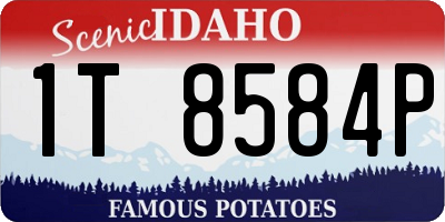 ID license plate 1T8584P