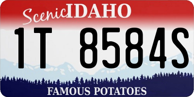 ID license plate 1T8584S