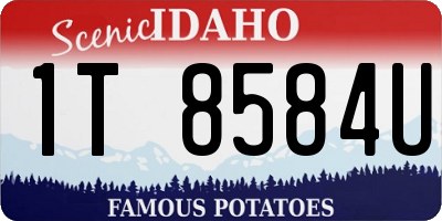 ID license plate 1T8584U
