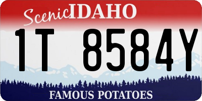 ID license plate 1T8584Y