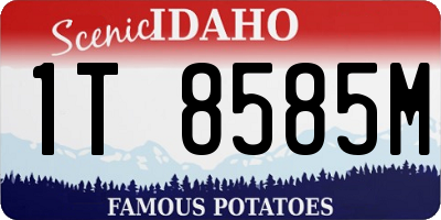 ID license plate 1T8585M