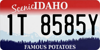 ID license plate 1T8585Y