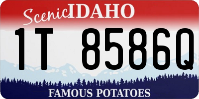 ID license plate 1T8586Q