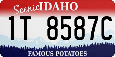 ID license plate 1T8587C