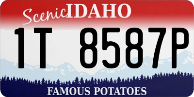 ID license plate 1T8587P