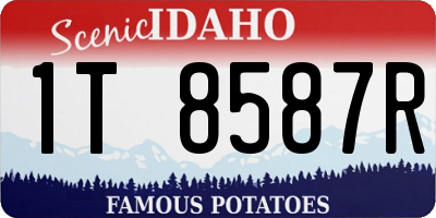 ID license plate 1T8587R