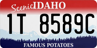 ID license plate 1T8589C